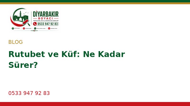 Rutubet ve Küf: Ne Kadar Sürer?