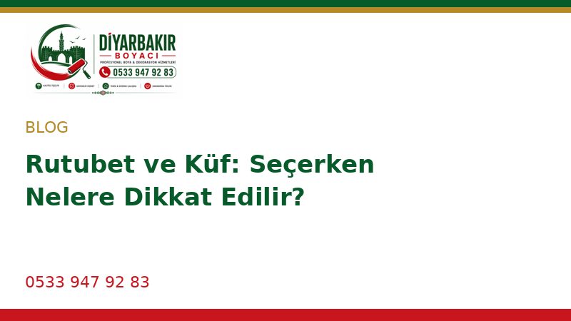 Rutubet ve Küf: Seçerken Nelere Dikkat Edilir?